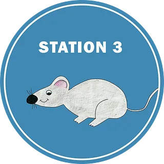 Kinderzentrum Pelzerhaken gGmbH Station 3 Mäuse 01