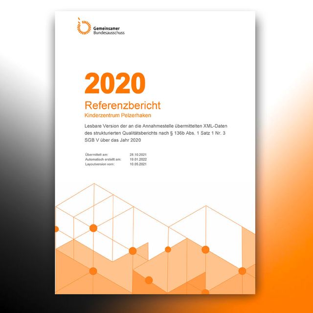 Qualitätsbericht 2020